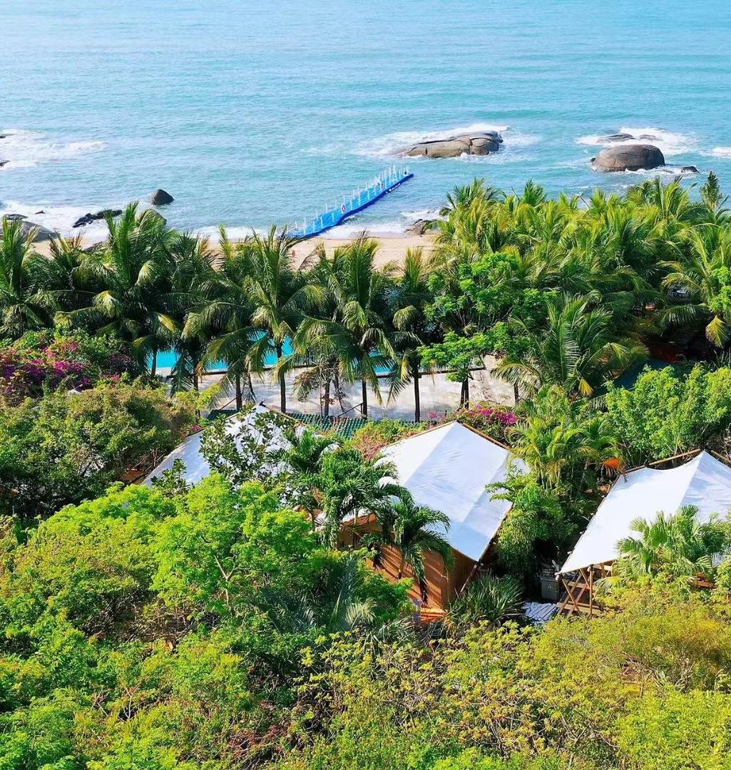 Aerial view of white roofed cabins surrounded by lush greenery near a beach with palm trees, a blue pier, rocks, and the ocean in the background.