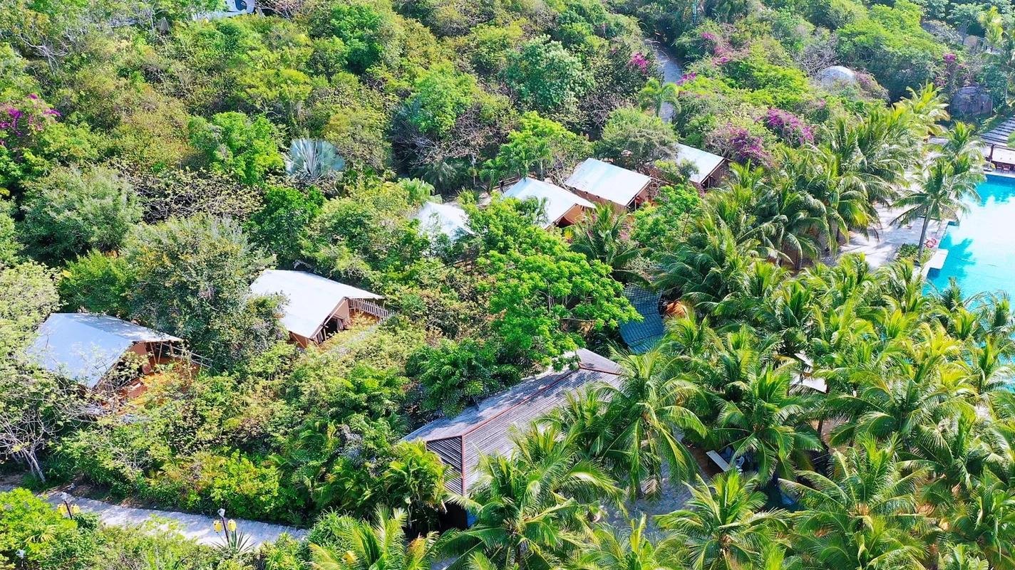 Aerial view of several small cabins surrounded by dense tropical trees and foliage near a large swimming pool.