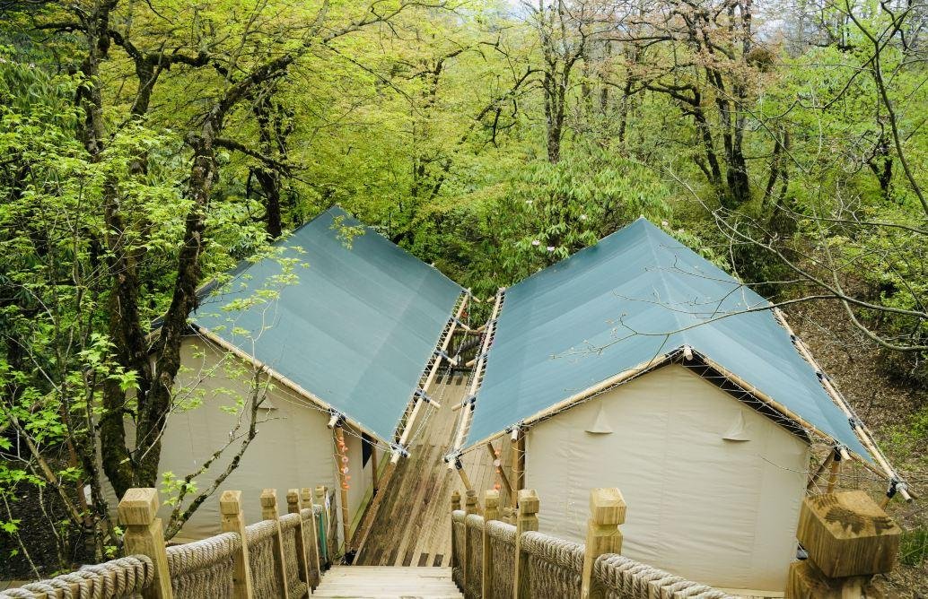 Two canvas tents with green roofs are set up side by side on wooden platforms in a forest, viewed from the top of a wooden staircase.