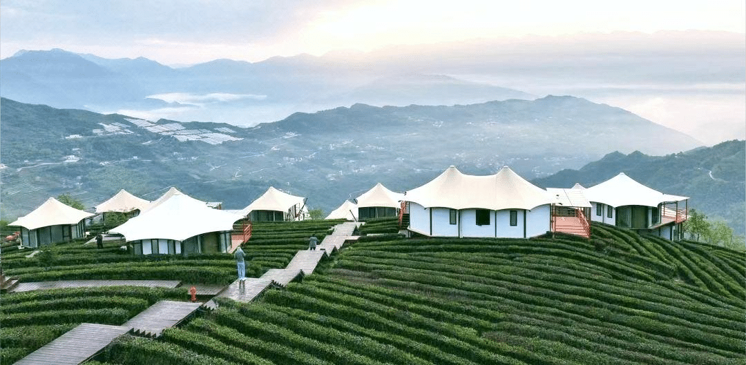 White tent like structures are set on a hillside with rows of green crops, overlooking a misty valley and distant mountains under a cloudy sky at sunrise or sunset.
