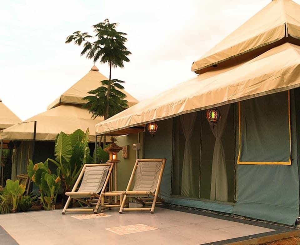 Two wooden lounge chairs sit on a tiled patio outside a tent style glamping accommodation surrounded by plants.