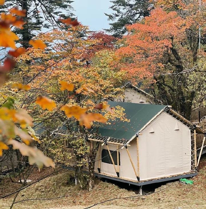 A canvas tent with a green roof stands among trees with autumn foliage in an outdoor setting.